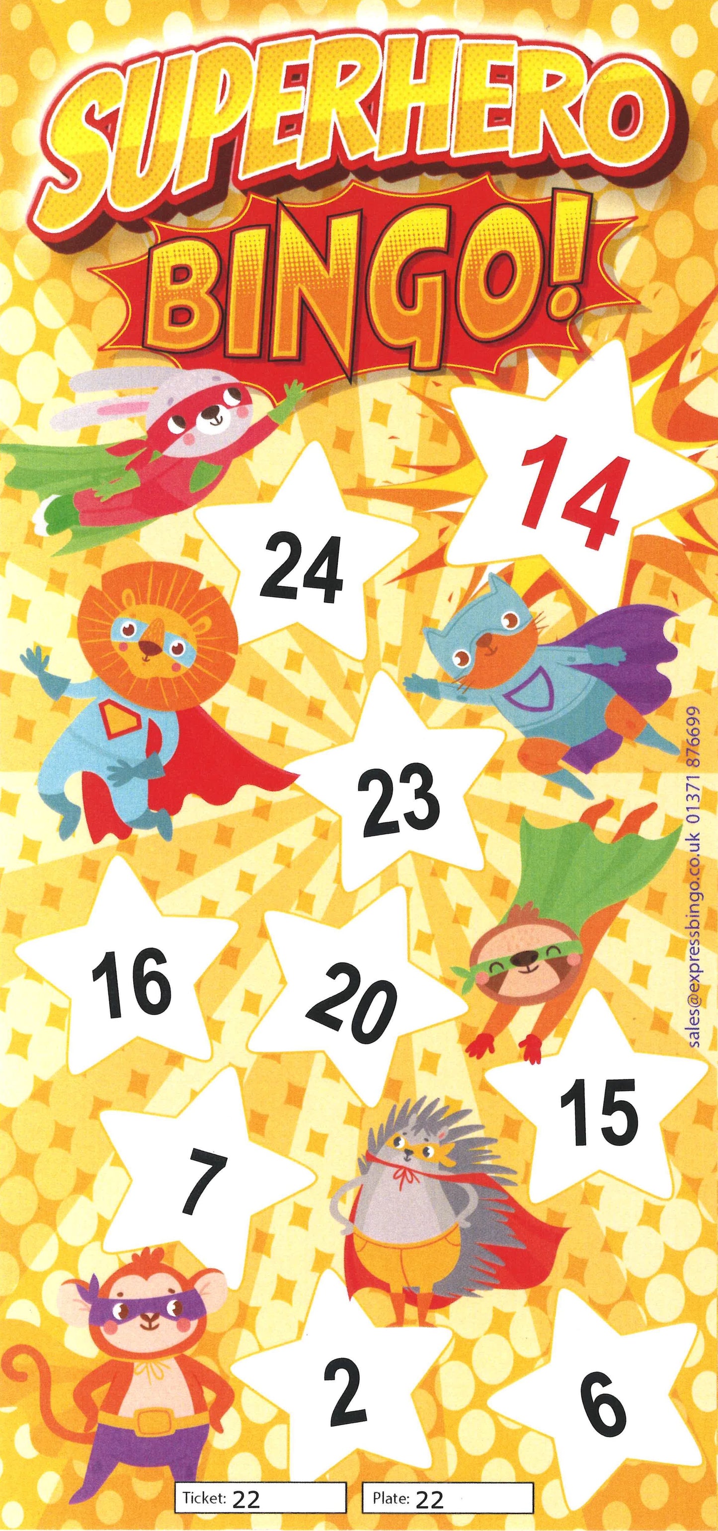 Bingo Fun Flyers (9 from 27 Bingo Game)