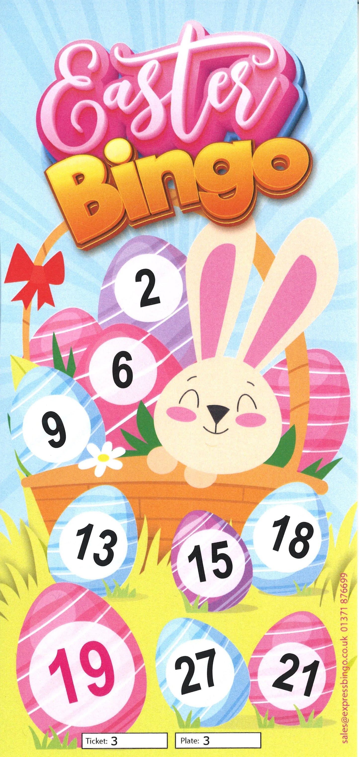 Bingo Fun Flyers (9 from 27 Bingo Game)