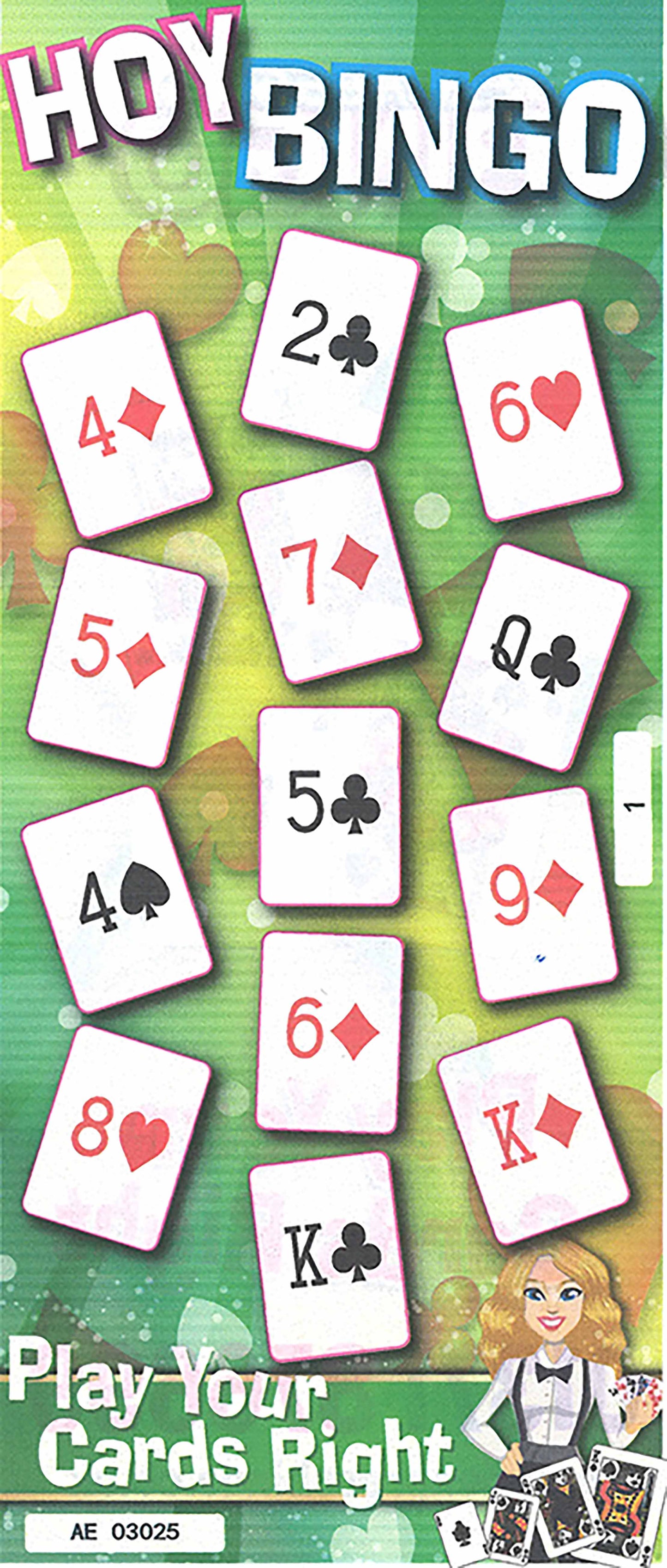 Bingo Fun Flyers (9 from 27 Bingo Game)