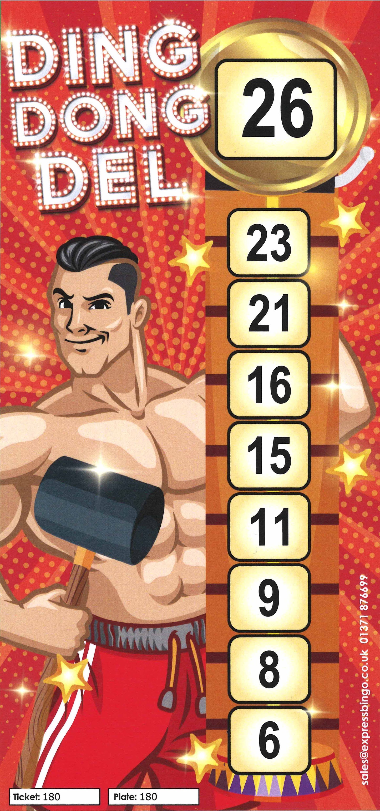 Bingo Fun Flyers (9 from 27 Bingo Game)